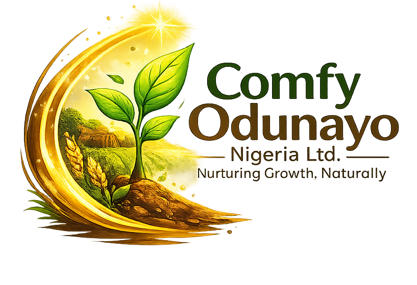 Comfy Odunayo Nigeria Limited Logo